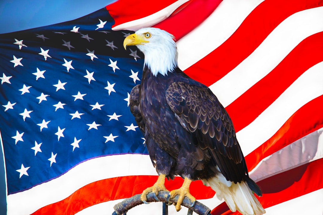 Photo American flag